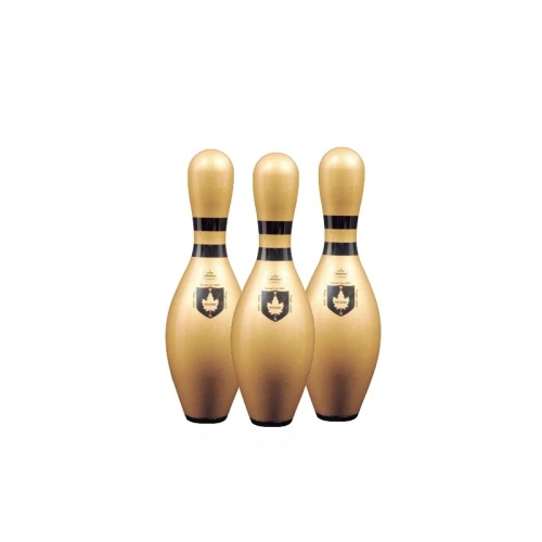 ウィンサム ミニピン ゴールド/ブラック