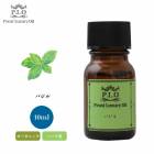 オーガニック PROST Luxury Oil 未精製マルラオイル 200ml キャリア