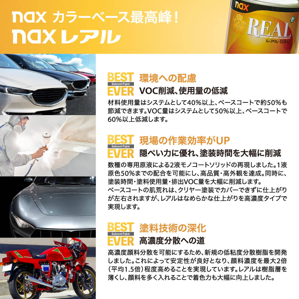 naxスタビR NEO 500g/小分け 日本ペイント レアル 塗料 | 日本ペイント