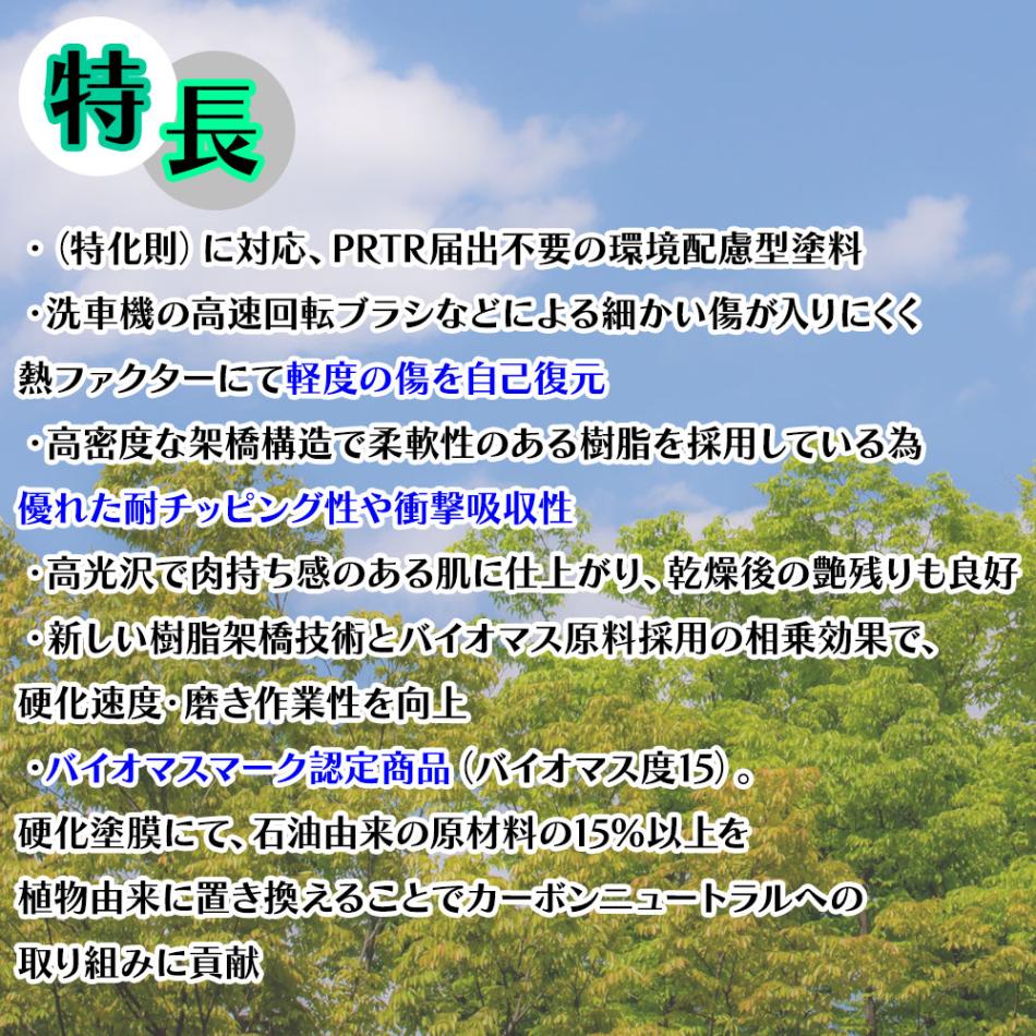 エコロック アンチスクラッチクリヤーBP 500g/ロックペイント クリヤー