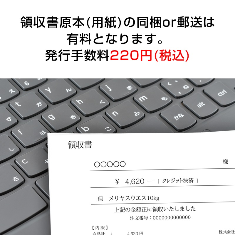紙の領収書 手書きの領収書 発行手数料 ※ご注文1件に付き1枚 ※同梱または郵送対応