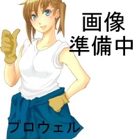ロックペイント ラッカーシンナー 016-6125 希釈剤|塗料|塗料・塗装用品