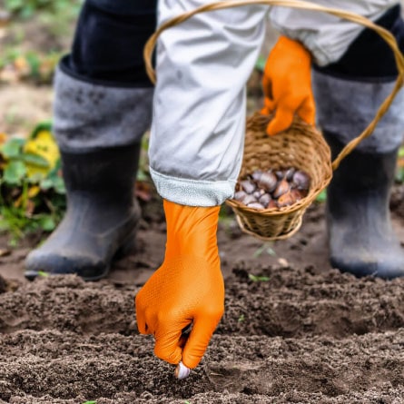 Grippaz グリッパーズグローブ 原田産業 ニトリルグローブ