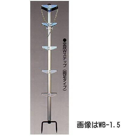 �ò������ȡ����å��������1�����ʥ��֥륹�ƥå�