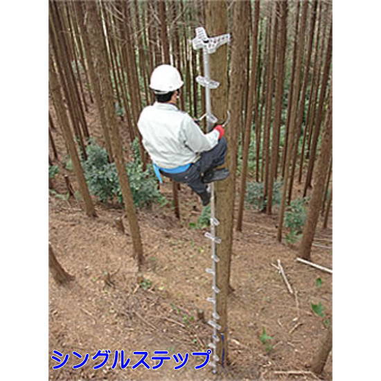 �ò������ȡ����å��������2EX�����󥰥륹�ƥå�