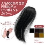 �ץ��ԥ� �˾���ʬ�����å� �߷�æ�Ӿɤˤ⡡Petit PON-PA�ʥץ��ݥ�ѡ�