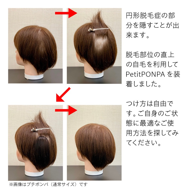 �ץ��ԥ� �˾���ʬ�����å� �߷�æ�Ӿɤˤ⡡Petit PON-PA�ʥץ��ݥ�ѡ�