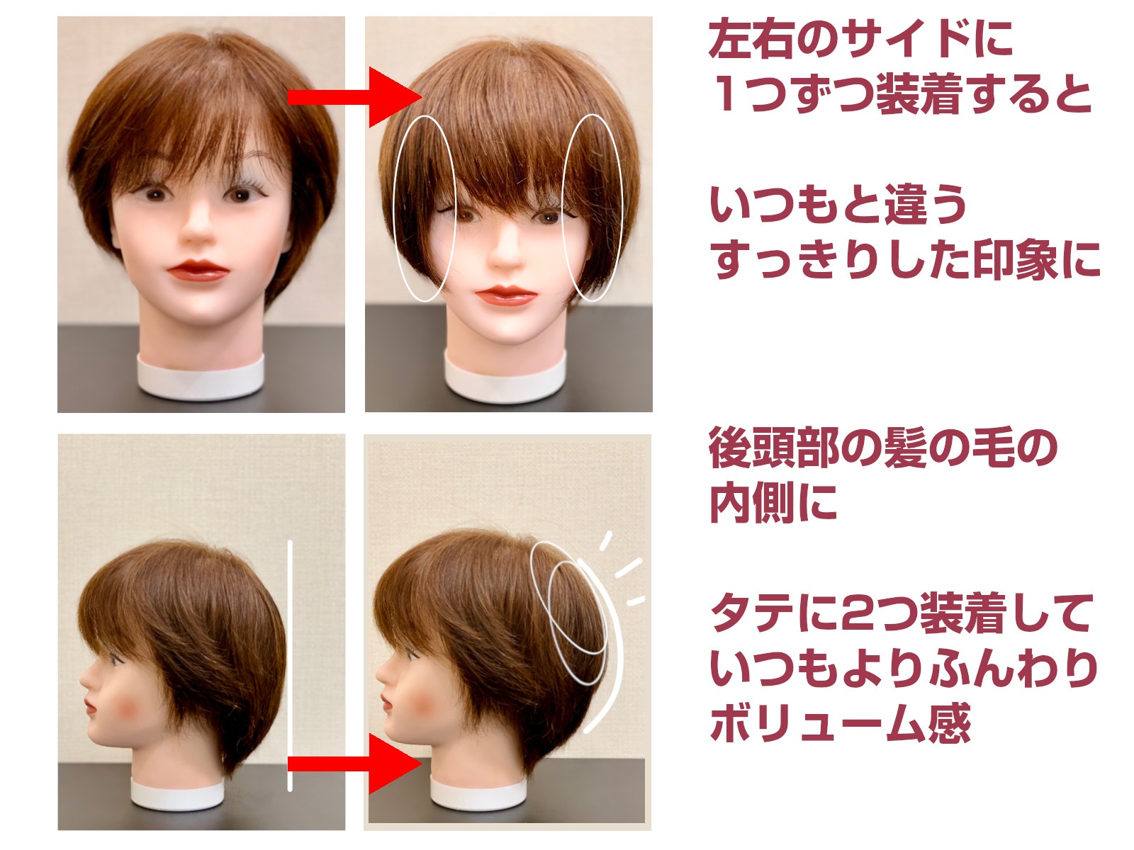 ڤäȤ2ĥåȡۥץԥ ˾ʬå ߷æӾɤˤ⡡Petit PON-PAʥץݥѡ