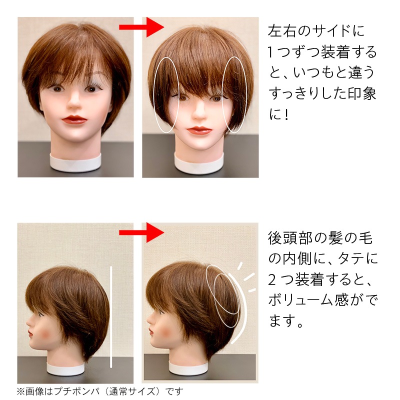 �ڤ���äȤ�����2�ĥ��åȡۥץ��ԥ� �˾���ʬ�����å� �߷�æ�Ӿɤˤ⡡Petit PON-PA�ʥץ��ݥ�ѡ�