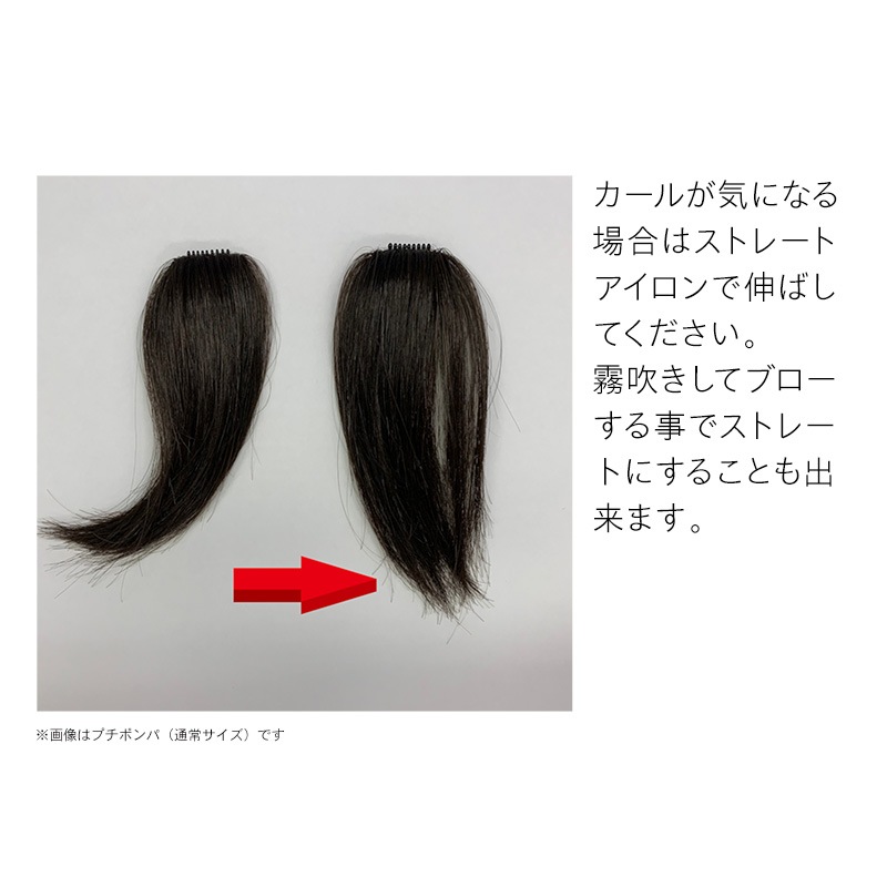 �ڤ���äȤ�����2�ĥ��åȡۥץ��ԥ� �˾���ʬ�����å� �߷�æ�Ӿɤˤ⡡Petit PON-PA�ʥץ��ݥ�ѡ�