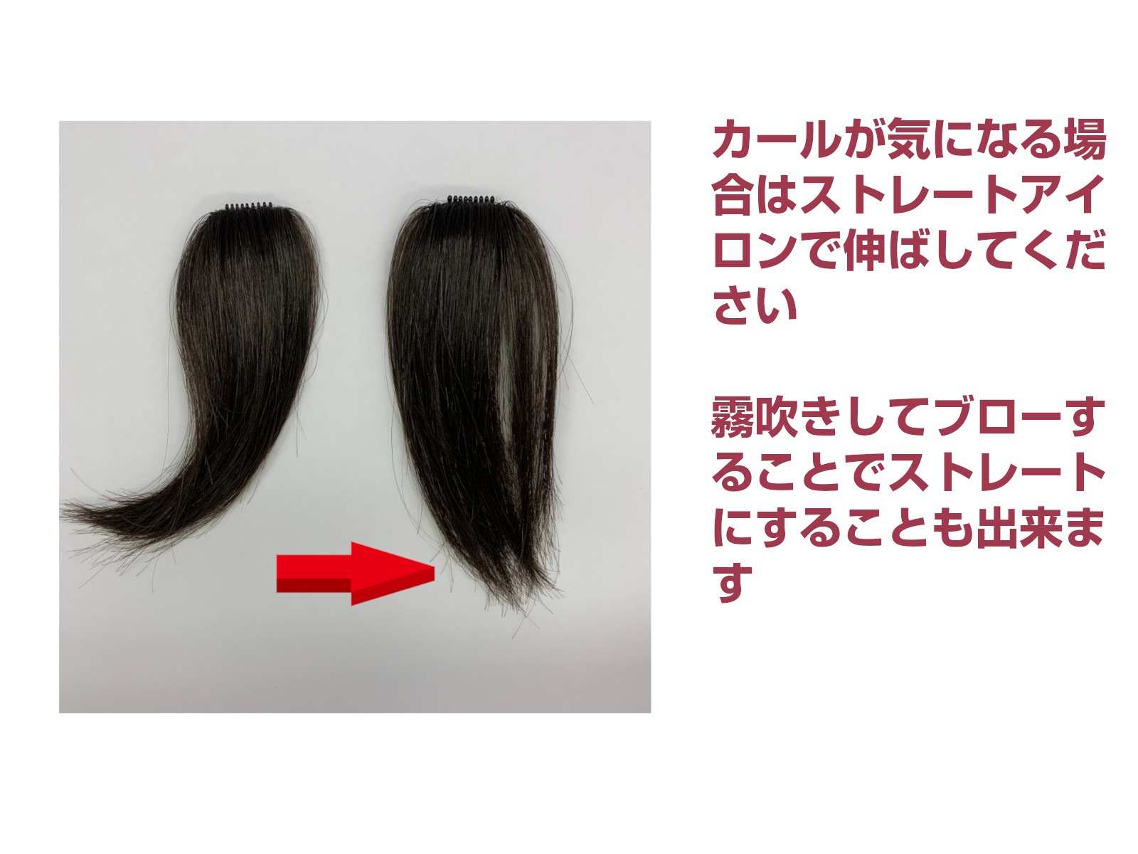 ڤäȤ2ĥåȡۥץԥ ˾ʬå ߷æӾɤˤ⡡Petit PON-PAʥץݥѡ