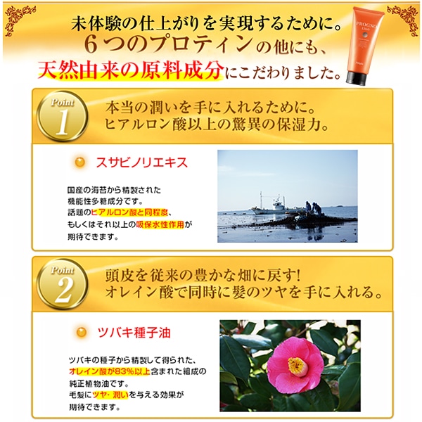 ץԥ ץ ϥꥳ̥åȡ126EX plus 400ml + 1360ܥ塼ܥץƥ˥ץסȥ꡼ȥ