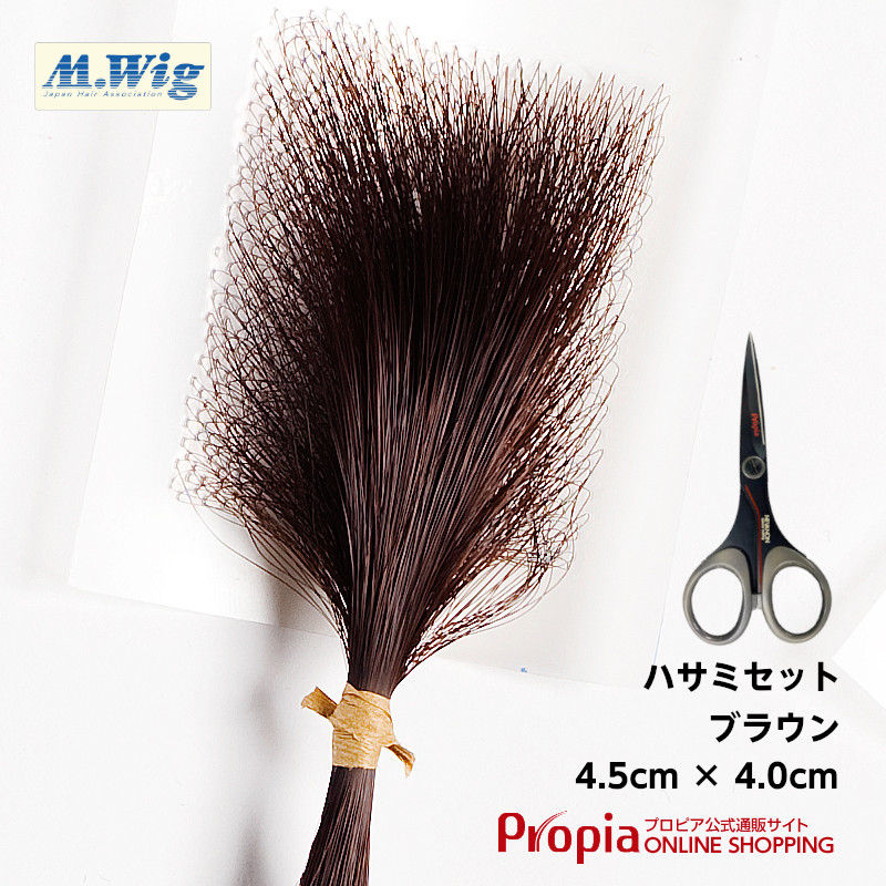 ץԥ ߷æӾɤ򱣤 إ󥿥ȥǥʥ֥饦 + ϥߥå