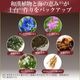 �ץ��ԥ� �ץ����� �إ����������å� �����ѥå�B��126EX plus 400ml 1�� + ���Ѱ��Ӻ�216 2�ܡ� ������ץ����ס������Ӻ�