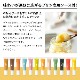 ڤ渵źդۥץ󸦵͵ե졼С󥭥󥰾12糧åȡ̵
