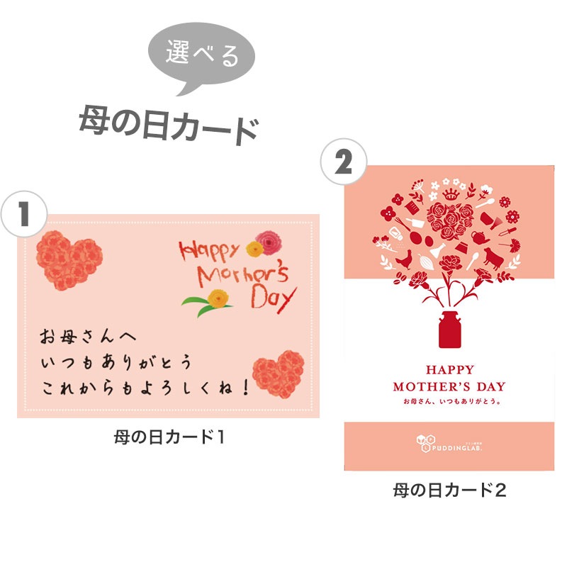 åɡۥץ󸦵ꤪץ󥻥å6ߥ12