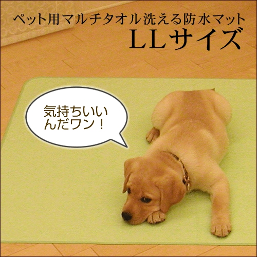 �ڥå��ѥޥ���������������ɿ�ޥåȡʣ̣̥�������