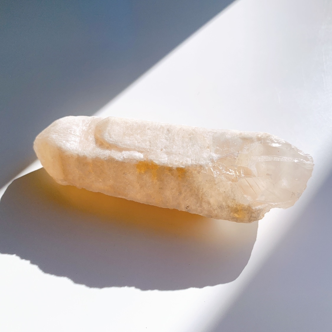 ピンクレムリアン ドリームシクル