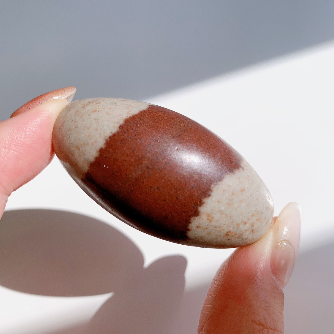 シバリンガム 中