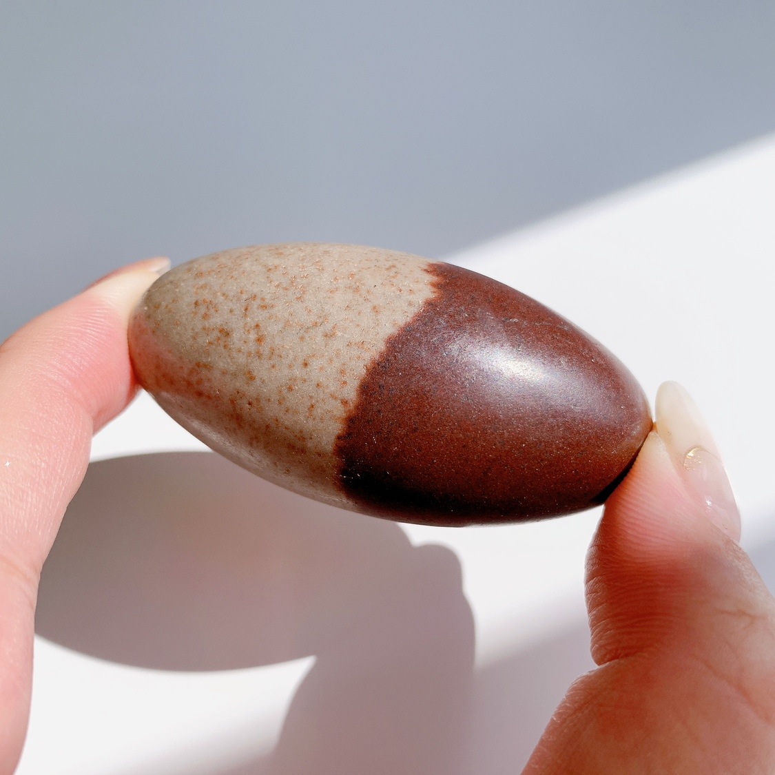 シバリンガム 中