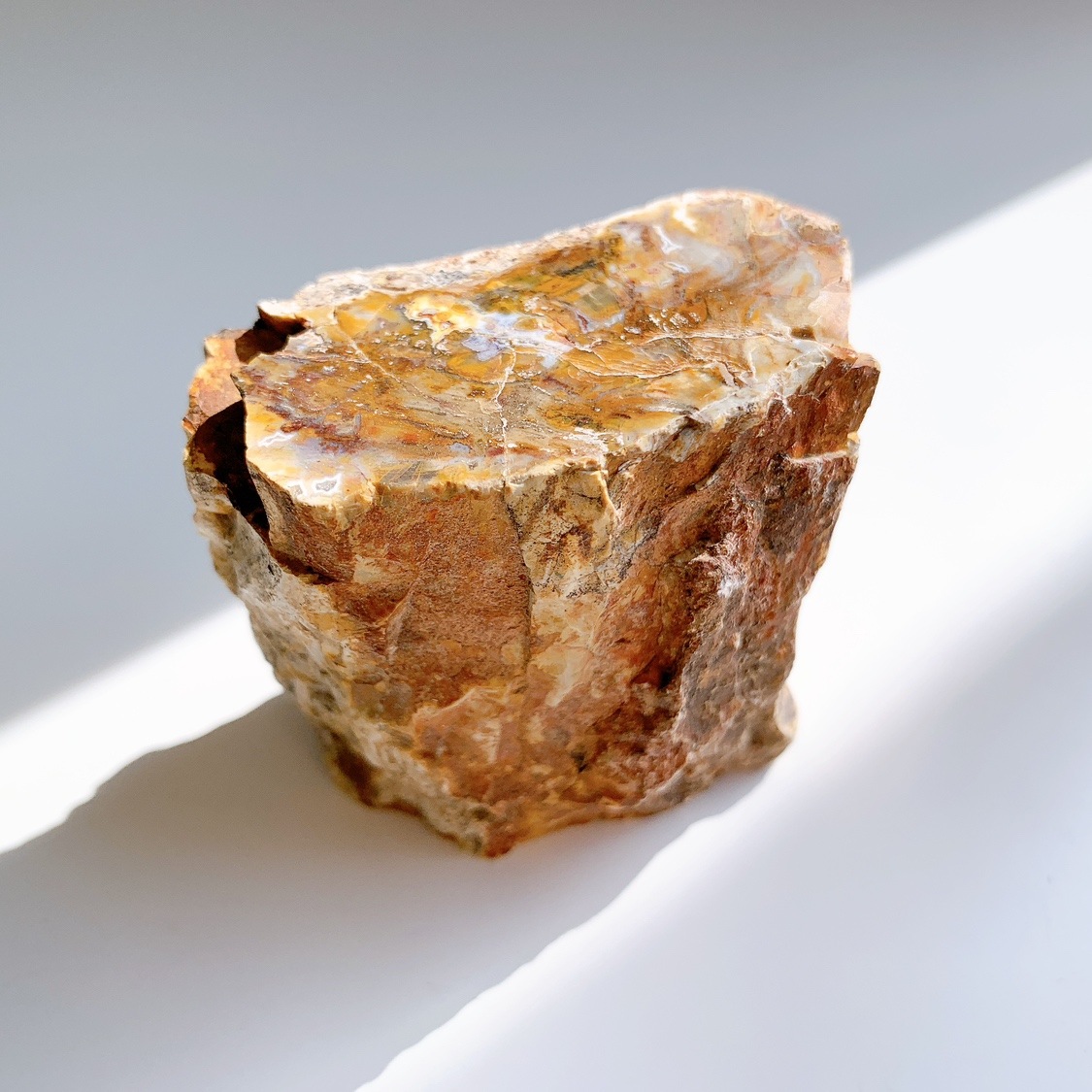 きょん様④1799最終価格☆ペトリファイドウッド　パワーストーン　原石　置物 きょん様④1799最終価格☆ペトリファイドウッド パワーストーン 原石