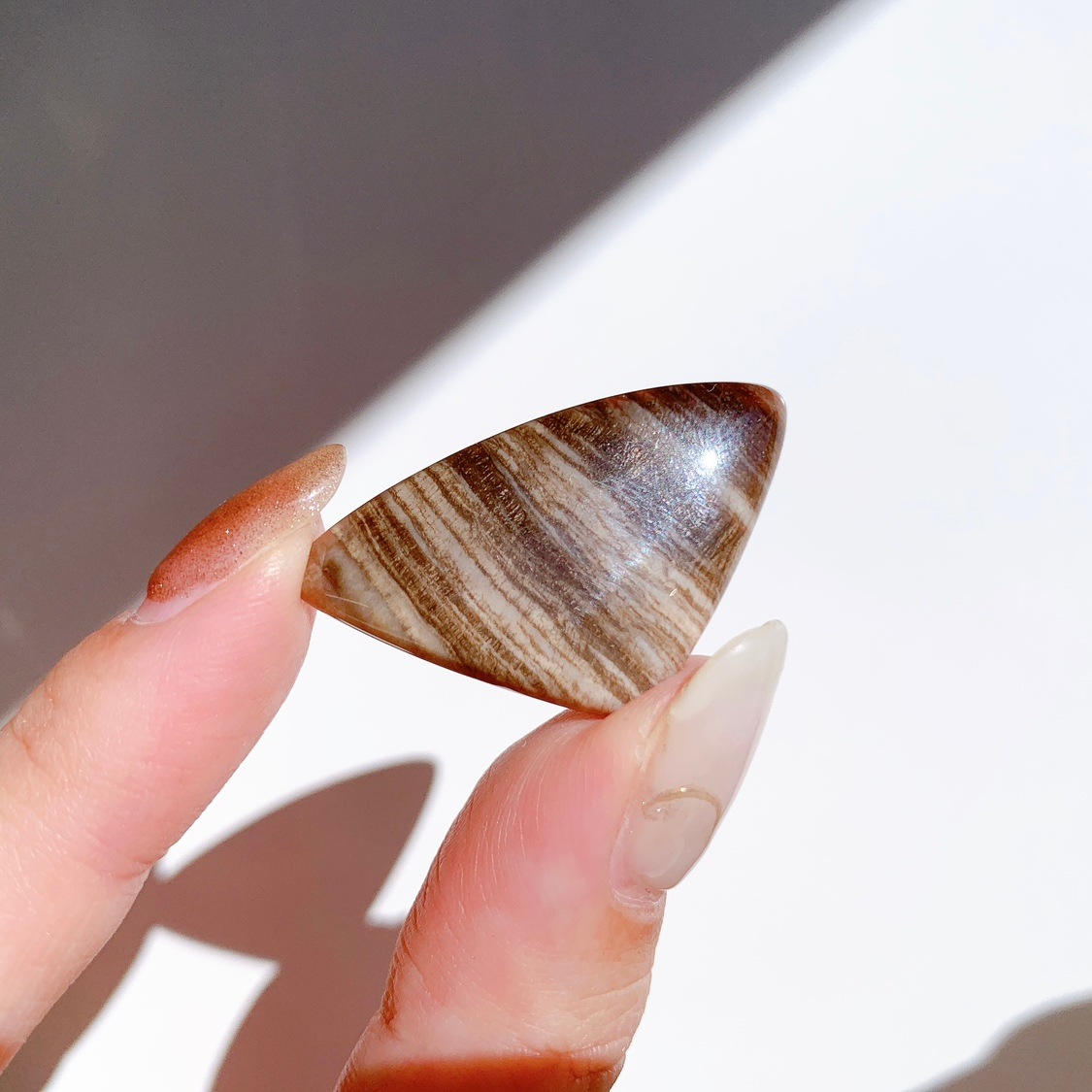 ペトリファイドウッド ルース