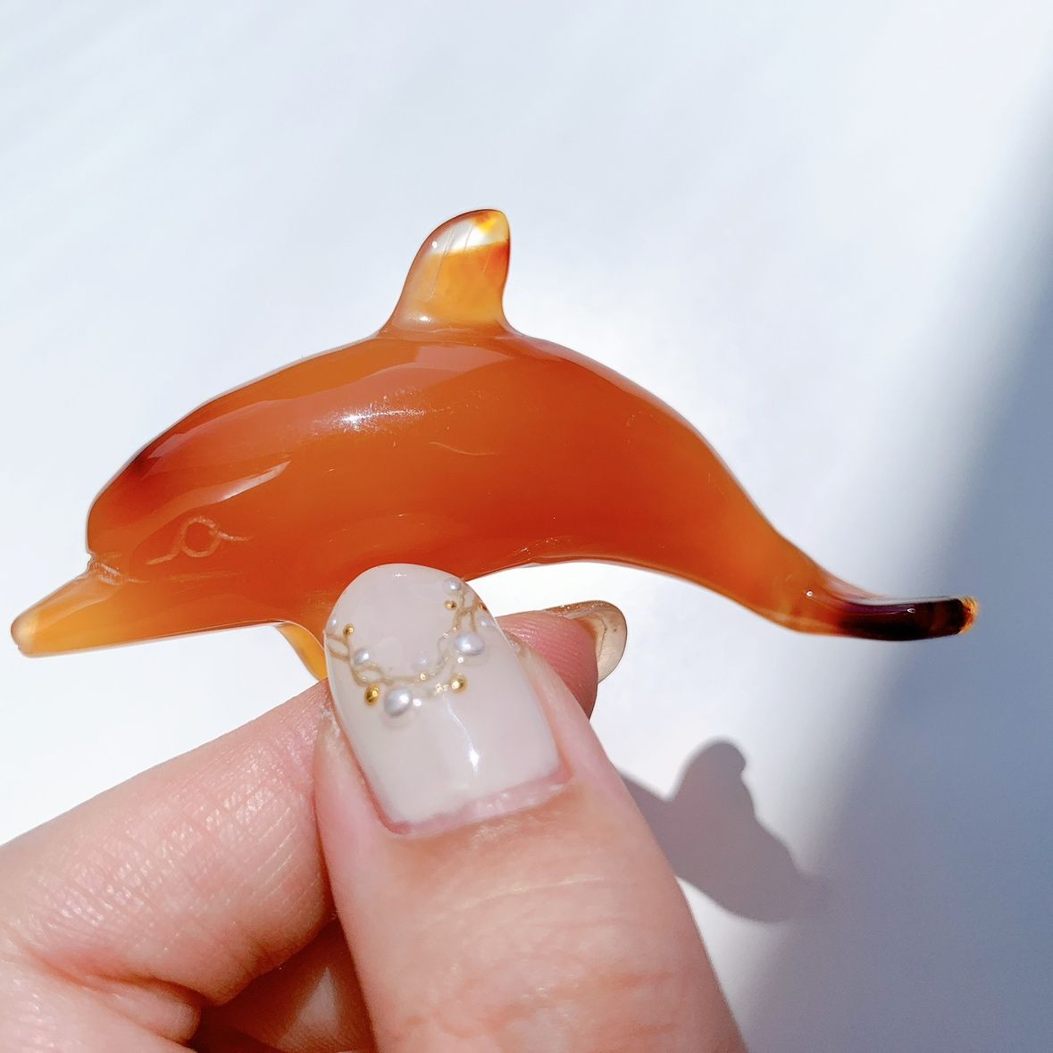 カーネリアン イルカ型