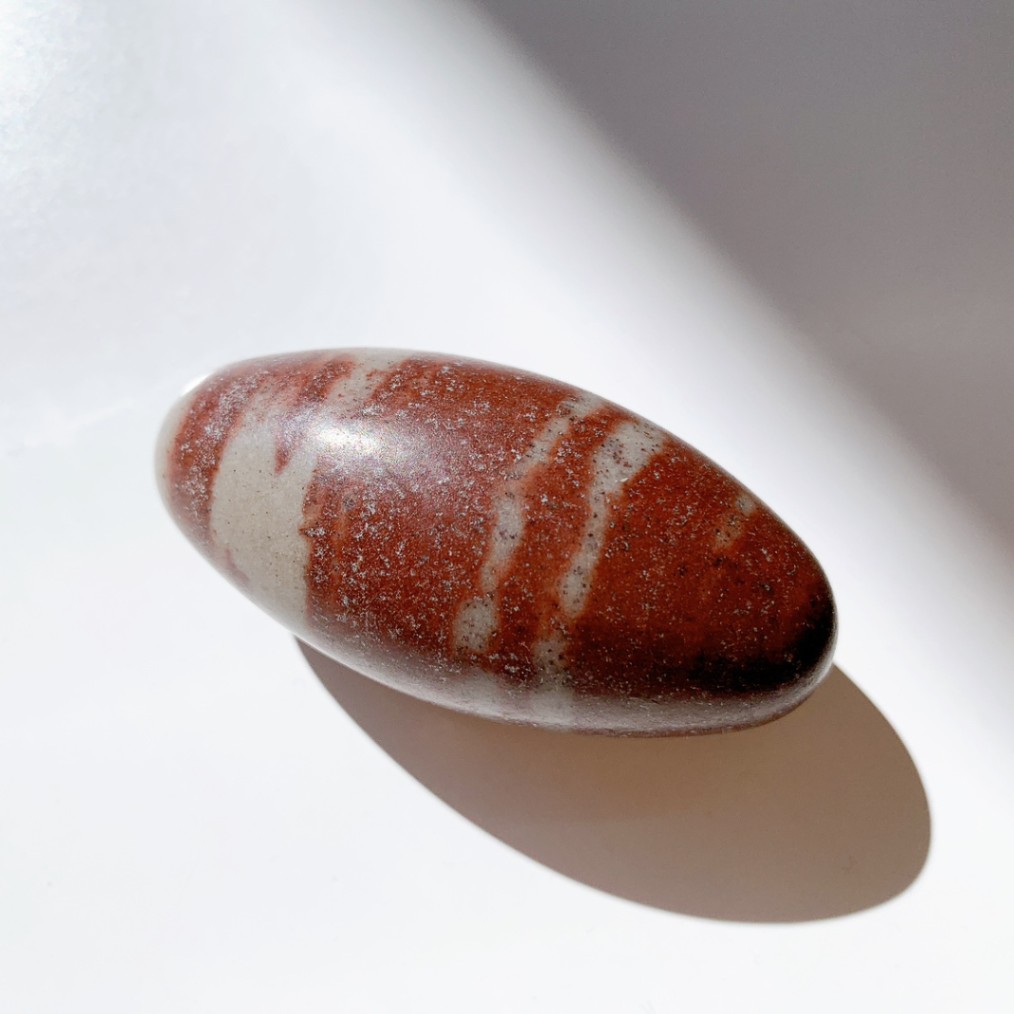 シバリンガム 中