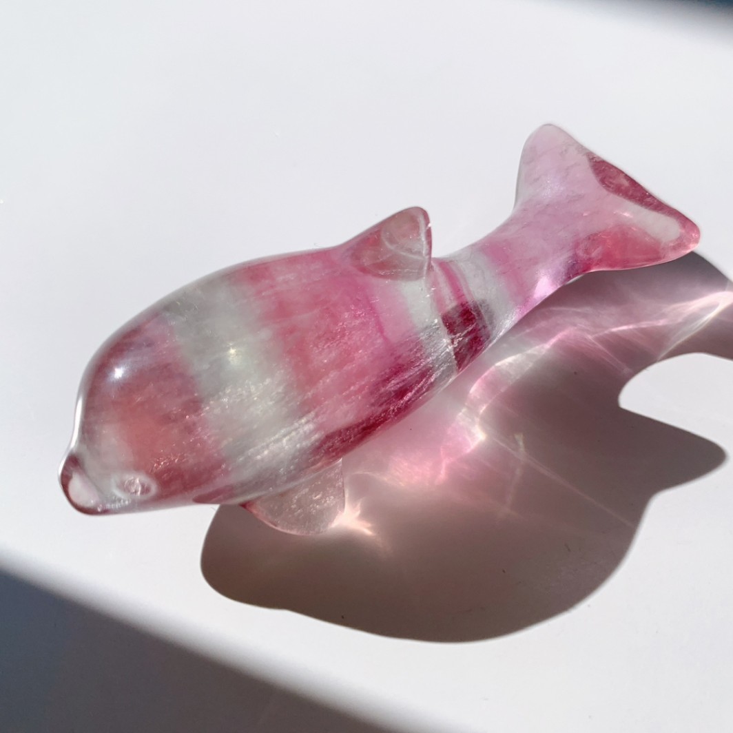 フローライト イルカ型