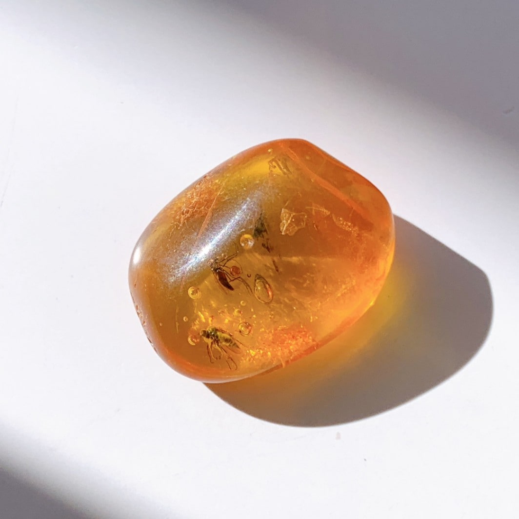 バルティックアンバー虫入り ポリッシュ