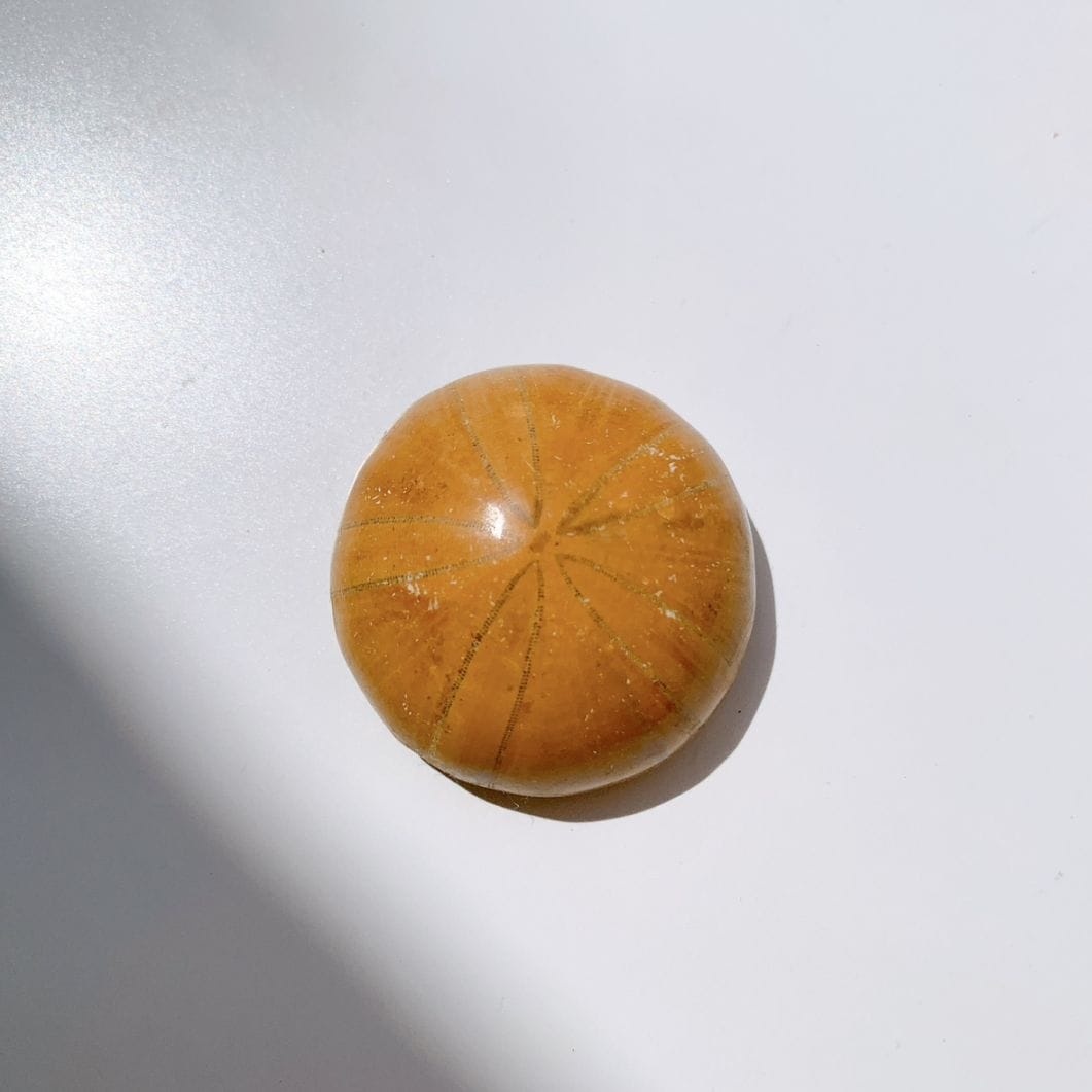 石の名前から選ぶ,化石 | Crystals by Purely