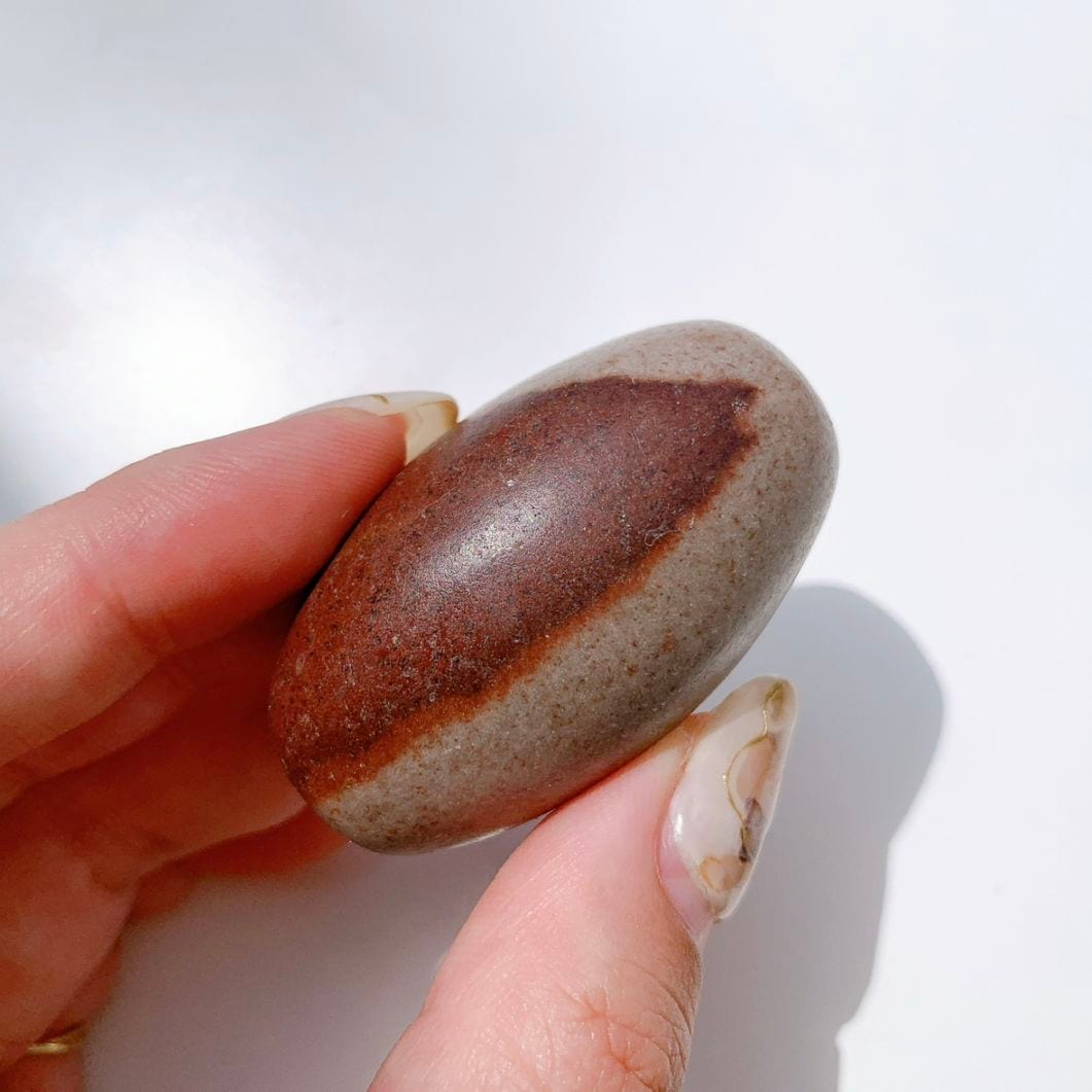 シバリンガム 中