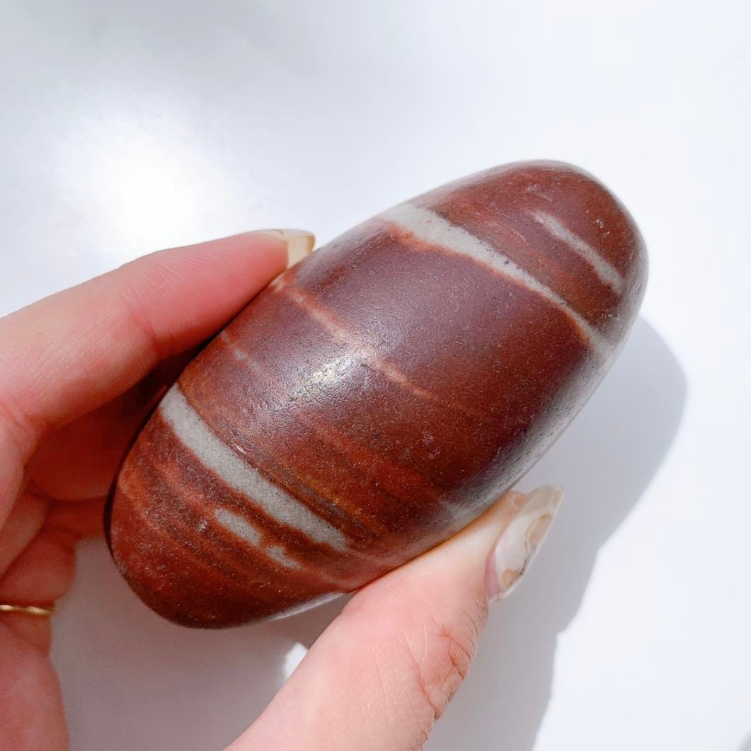 シバリンガム 大