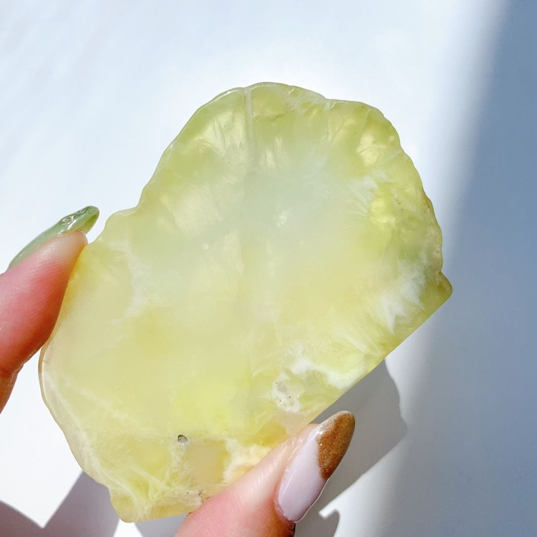 プレナイト ポリッシュ