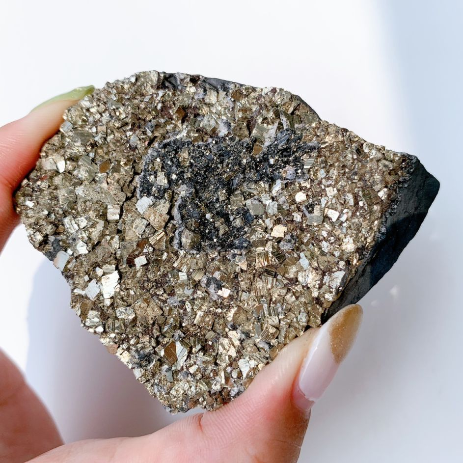 パイライトonシュンガイト 原石