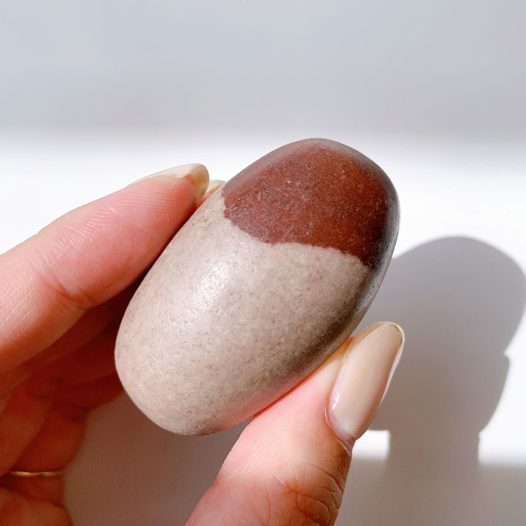 シバリンガム 中