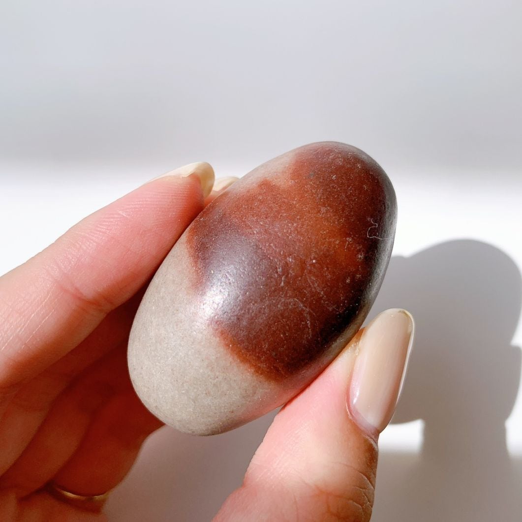 シバリンガム 中