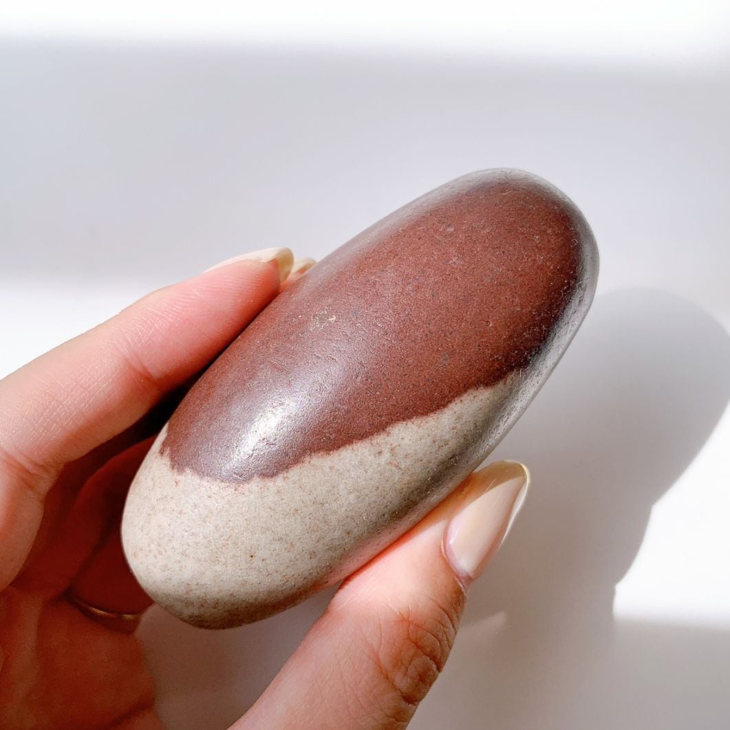 シバリンガム 大