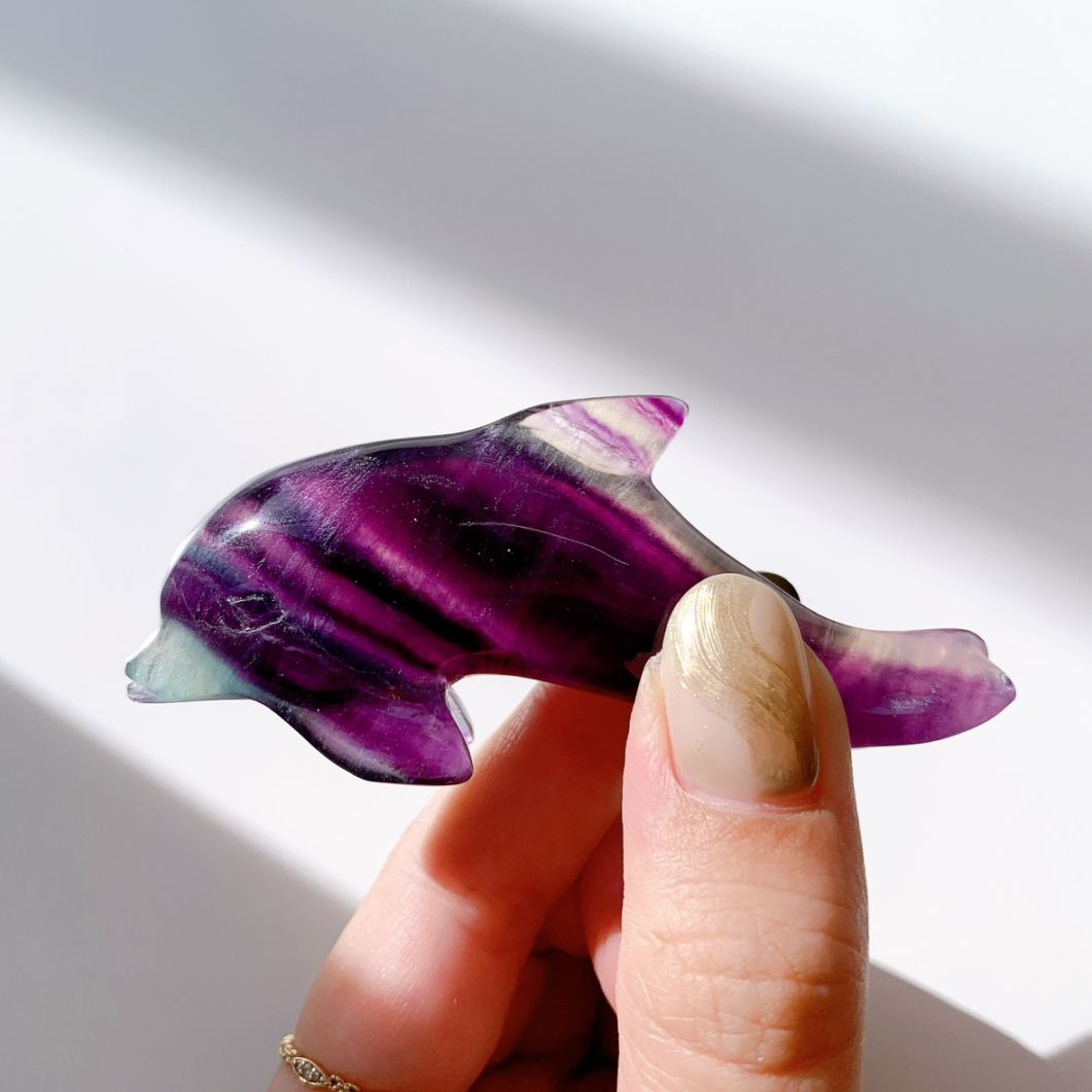 フローライト イルカ型