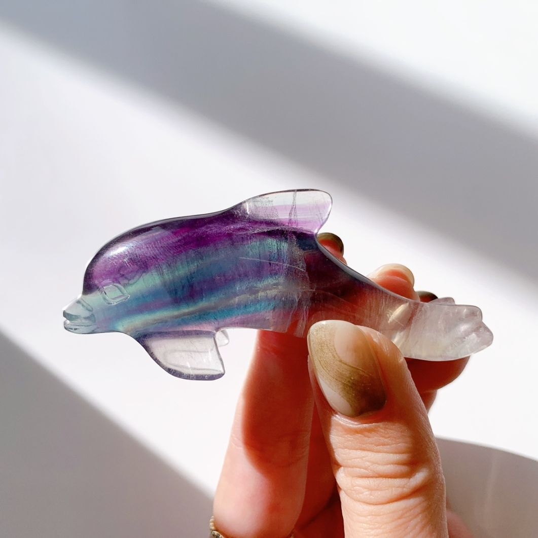 フローライト イルカ型