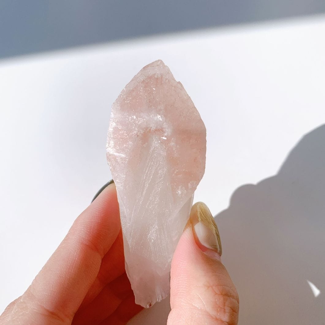 ピンクレムリアン ドリームシクル