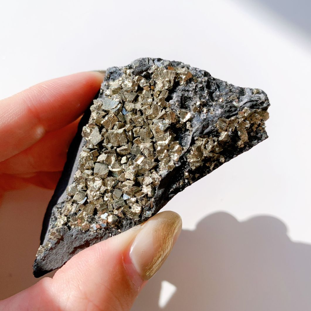 パイライトonシュンガイト 原石