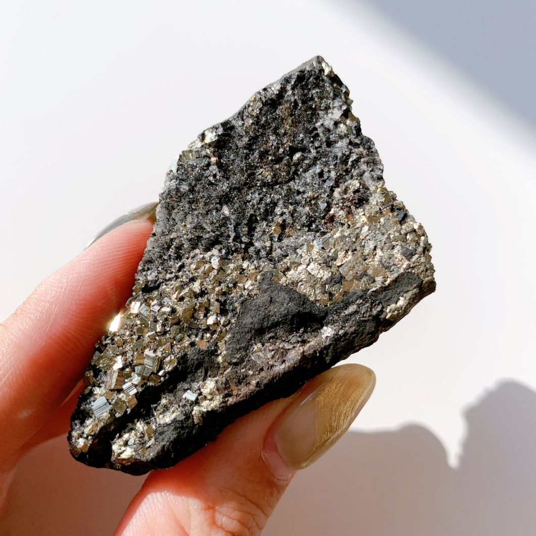 パイライトonシュンガイト 原石