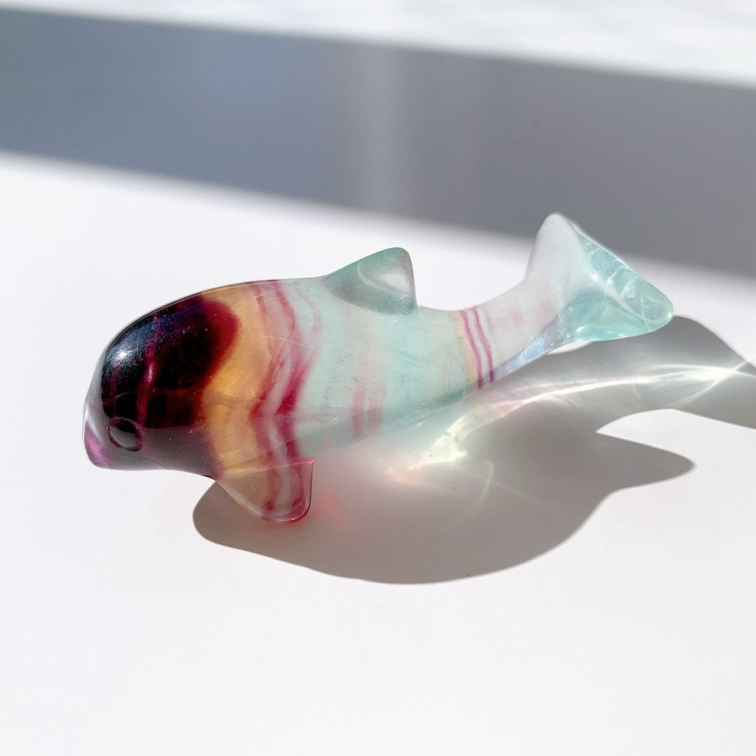フローライト イルカ型