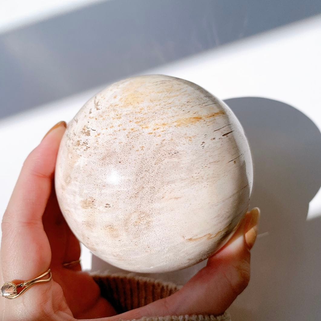 ペトリファイドウッド 丸玉