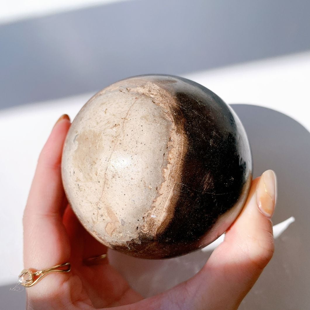 ペトリファイドウッド 丸玉