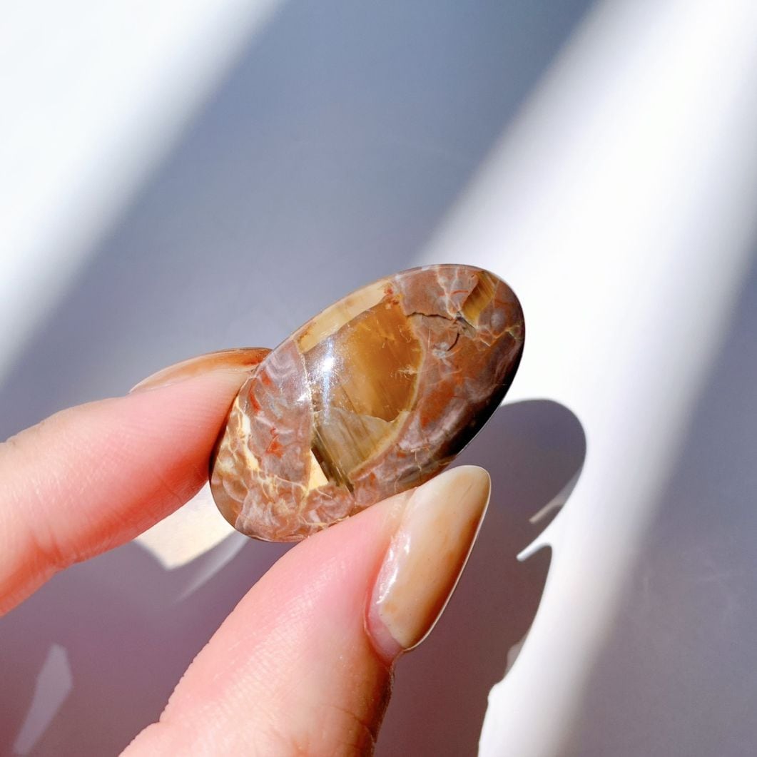 すべての商品 | Crystals by Purely