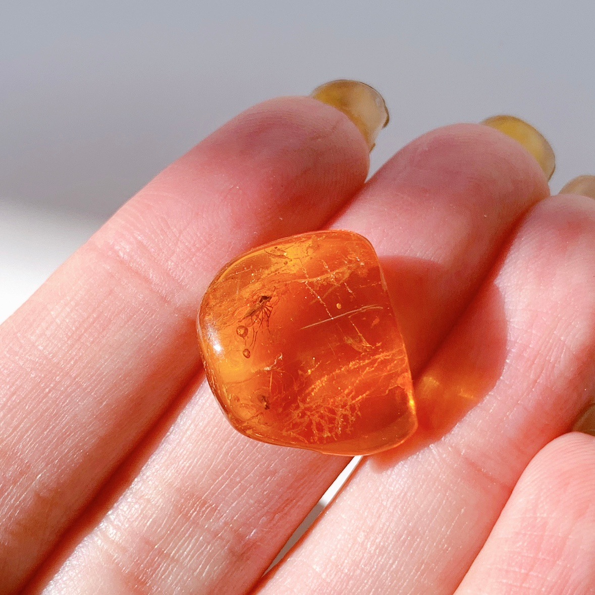 バルティックアンバー虫入り ポリッシュ