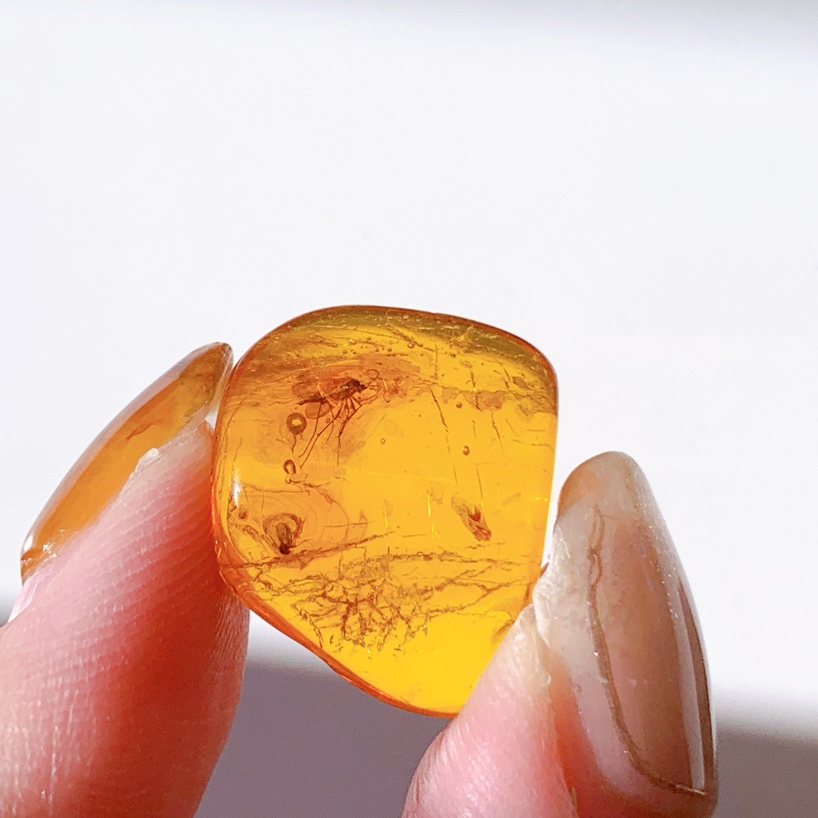 バルティックアンバー虫入り ポリッシュ