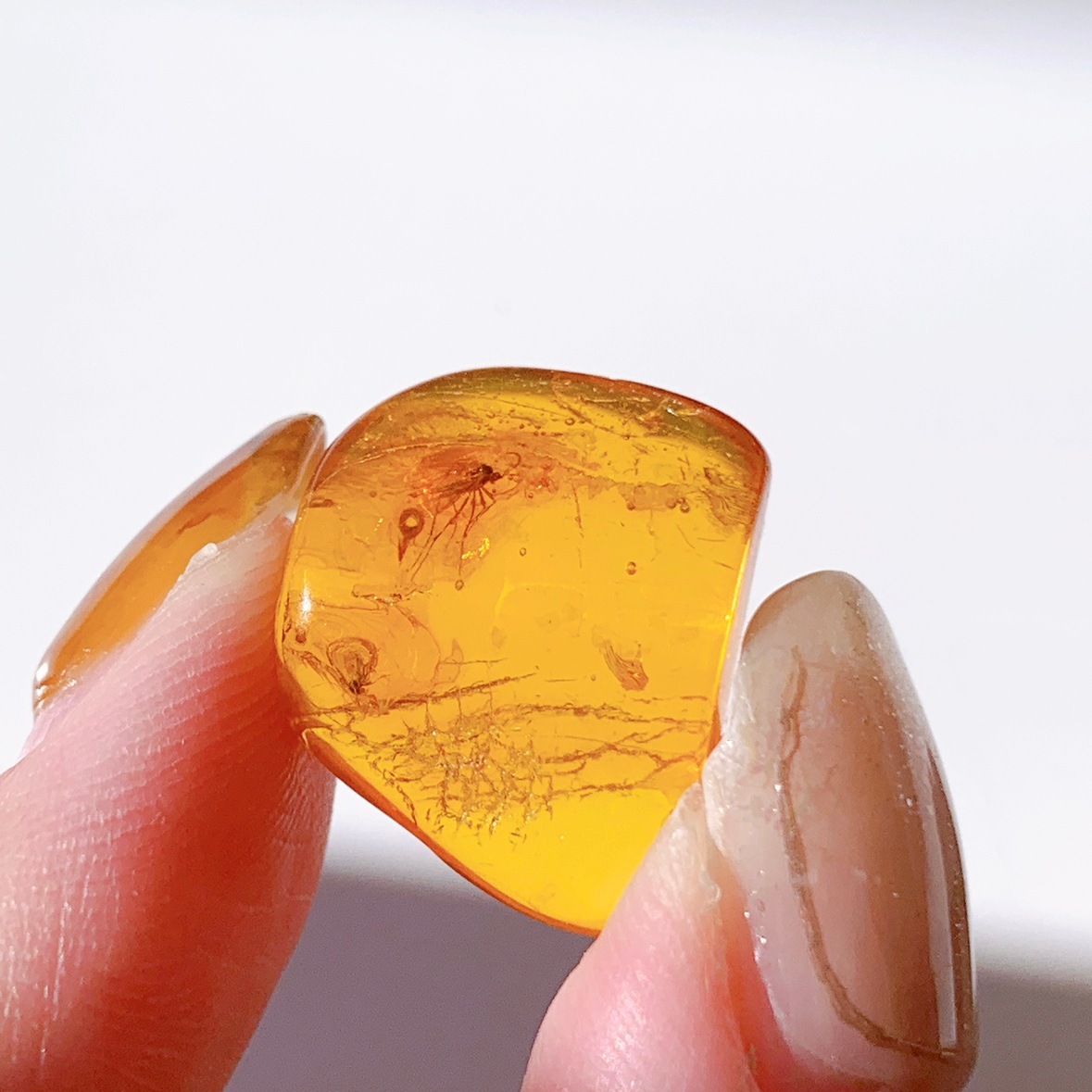 バルティックアンバー虫入り ポリッシュ